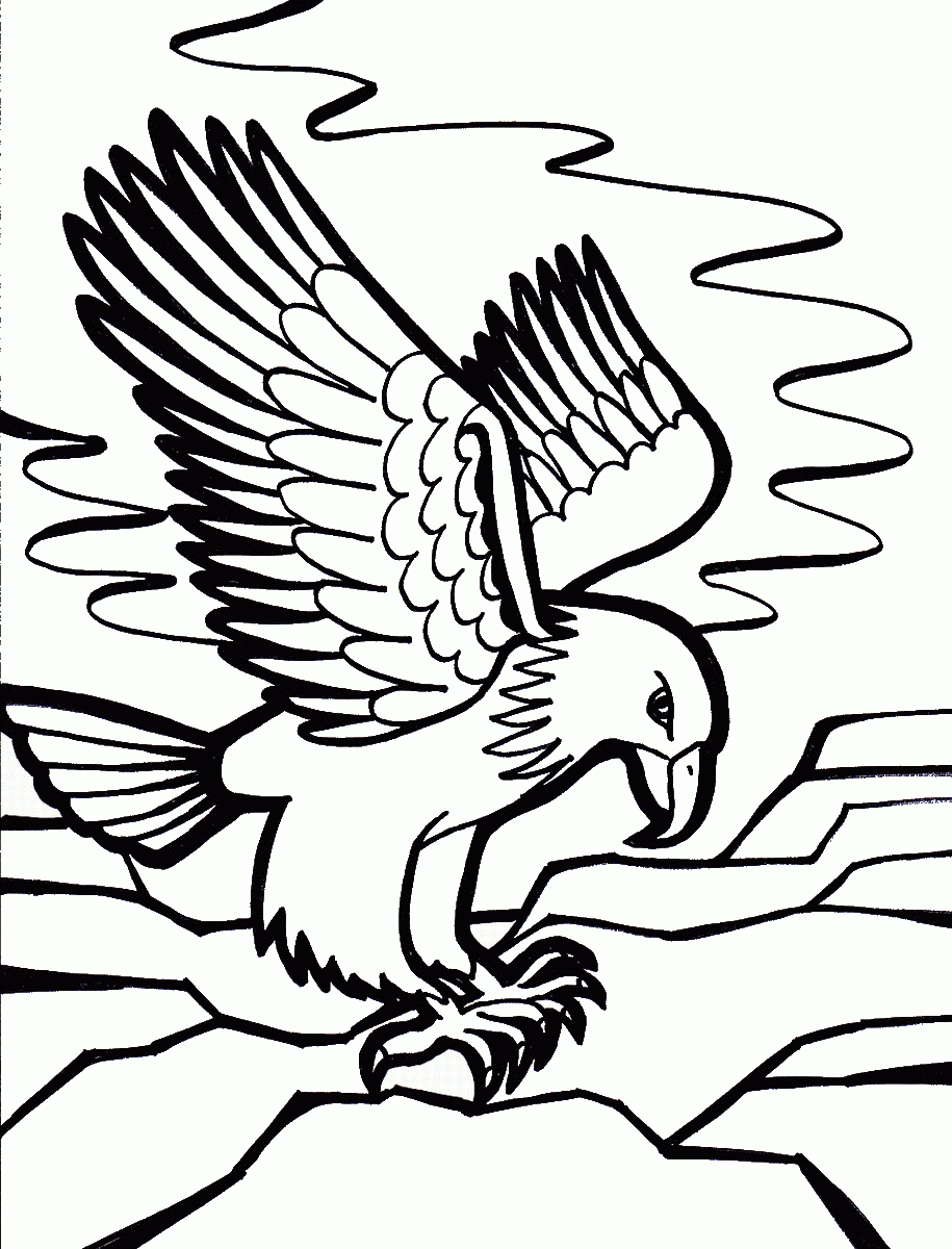 Eagle coloring #11, Download drawings