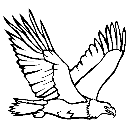 Eagle coloring #17, Download drawings