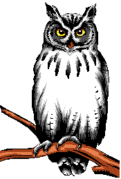 Eagle-owl clipart #17, Download drawings
