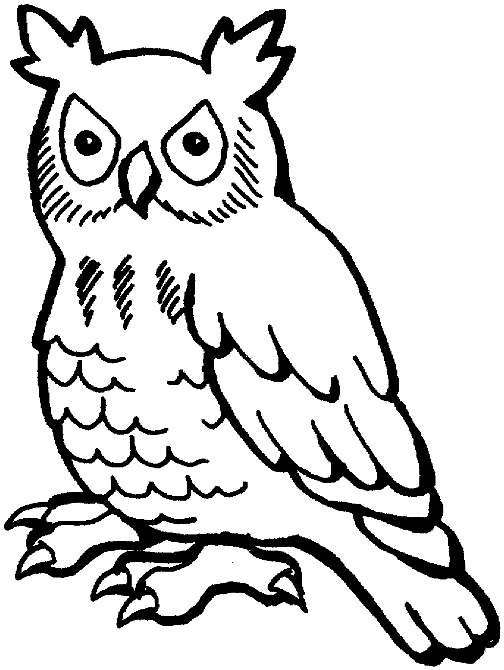 Eagle-owl coloring #12, Download drawings