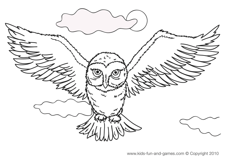 Eagle-owl coloring #6, Download drawings