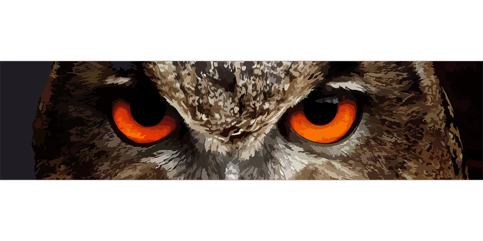 Eagle-owl svg #7, Download drawings