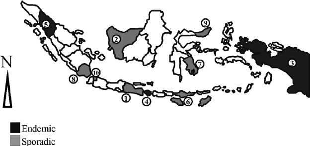 East Kalimantan Province clipart #14, Download drawings