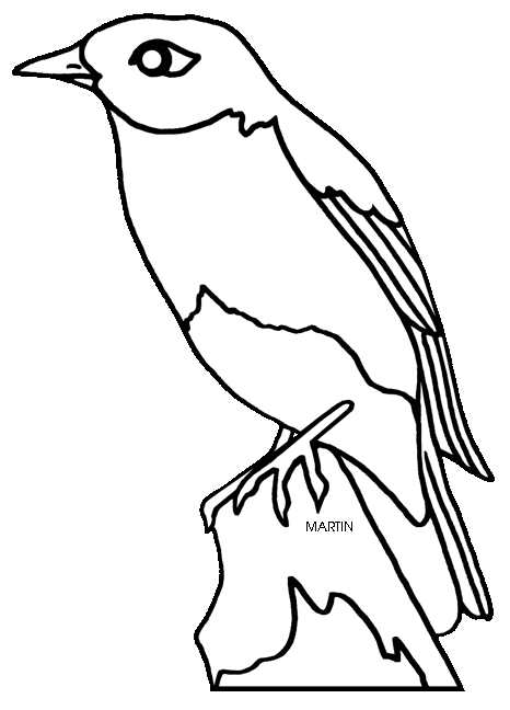 Eastern Bluebird clipart #8, Download drawings