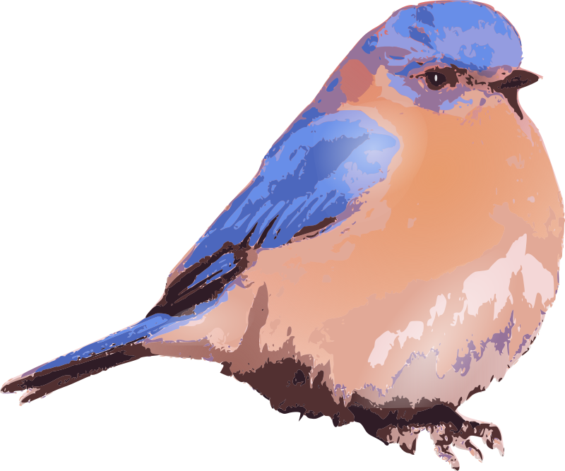 Eastern Bluebird svg #20, Download drawings