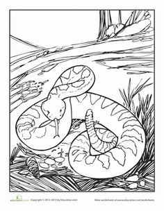 Eastern Diamondback Rattlesnake coloring #8, Download drawings