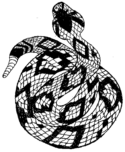Eastern Diamondback Rattlesnake coloring #20, Download drawings