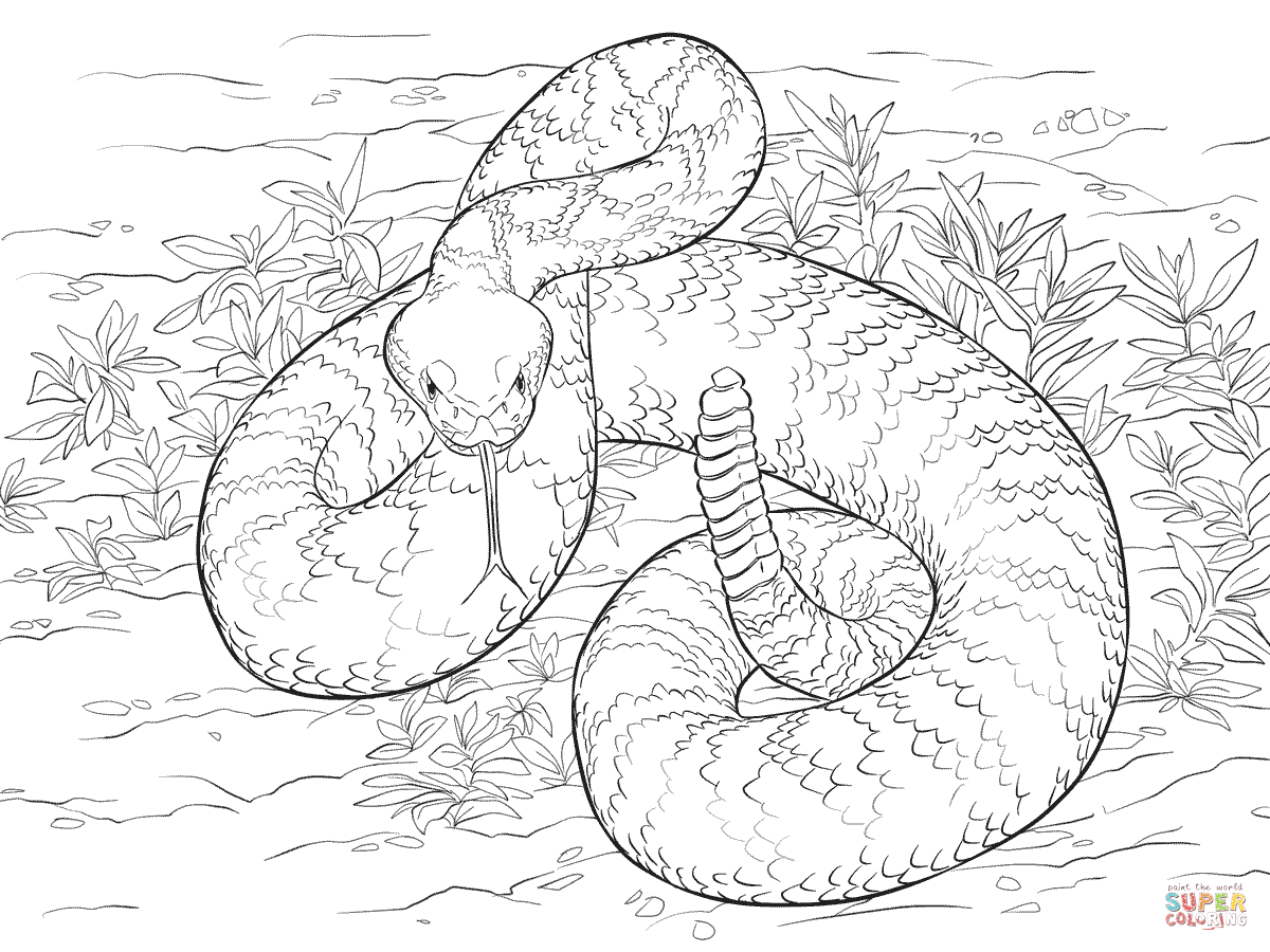 Eastern Diamondback Rattlesnake coloring #13, Download drawings