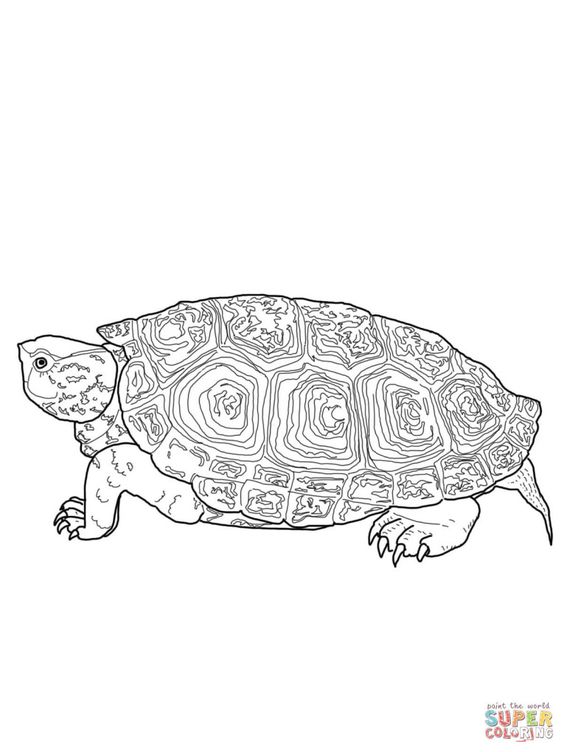 Eastern Diamondback Rattlesnake coloring #18, Download drawings