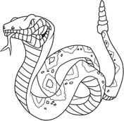 Rattlesnake coloring #1, Download drawings