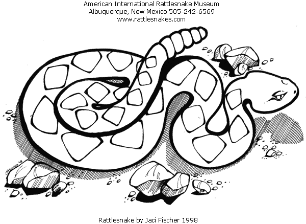 Eastern Diamondback Rattlesnake coloring #17, Download drawings