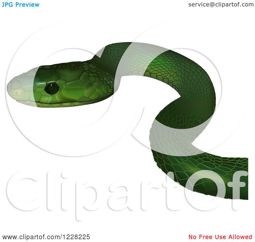 Eastern Green Mamba clipart #6, Download drawings