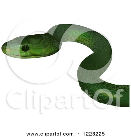 Eastern Green Mamba clipart #1, Download drawings