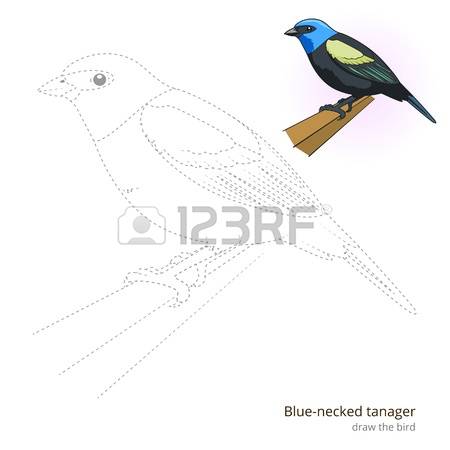 Eastern Tanager clipart #16, Download drawings