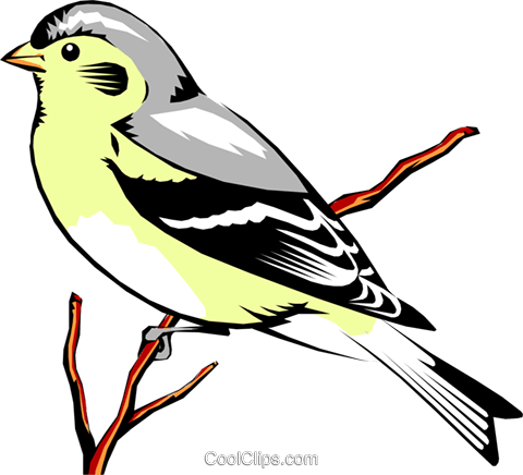 Eastern Tanager clipart #20, Download drawings