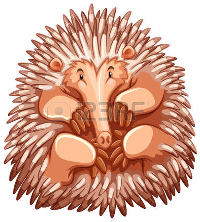 Echidna clipart #6, Download drawings