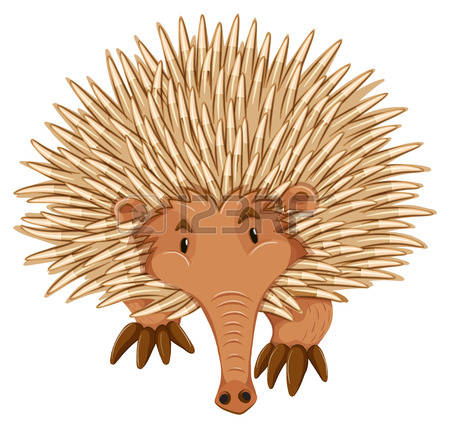 Echidna clipart #14, Download drawings