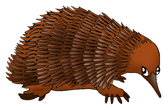 Echidna clipart #7, Download drawings