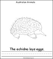 Echidna coloring #12, Download drawings
