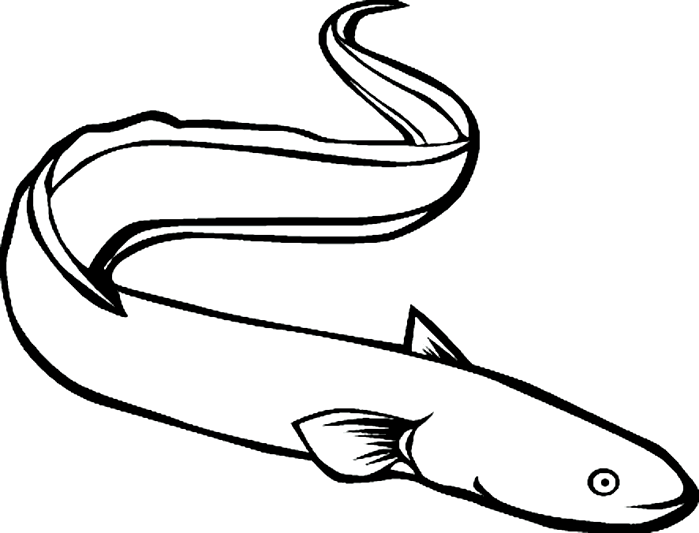 Eel clipart #7, Download drawings