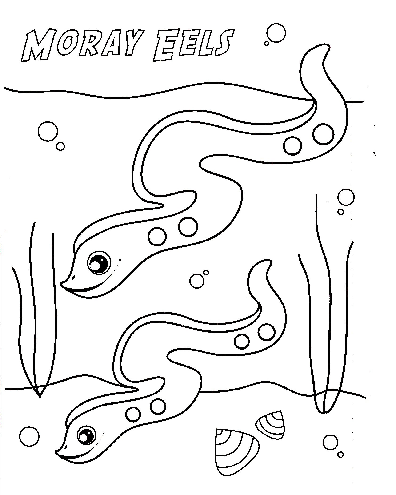 Eel coloring #12, Download drawings