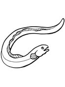 Eel coloring #16, Download drawings