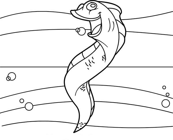 Eel coloring #1, Download drawings