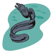 Eels clipart #2, Download drawings