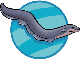 Eels clipart #14, Download drawings