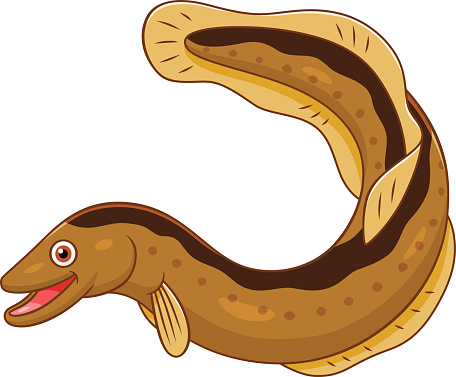 Eels clipart #8, Download drawings