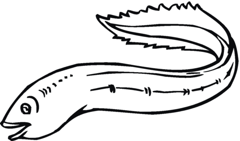 Eels coloring #10, Download drawings