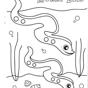 Eels coloring #12, Download drawings
