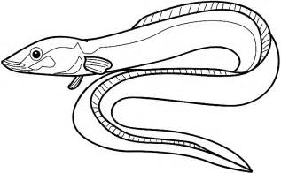Eels coloring #7, Download drawings