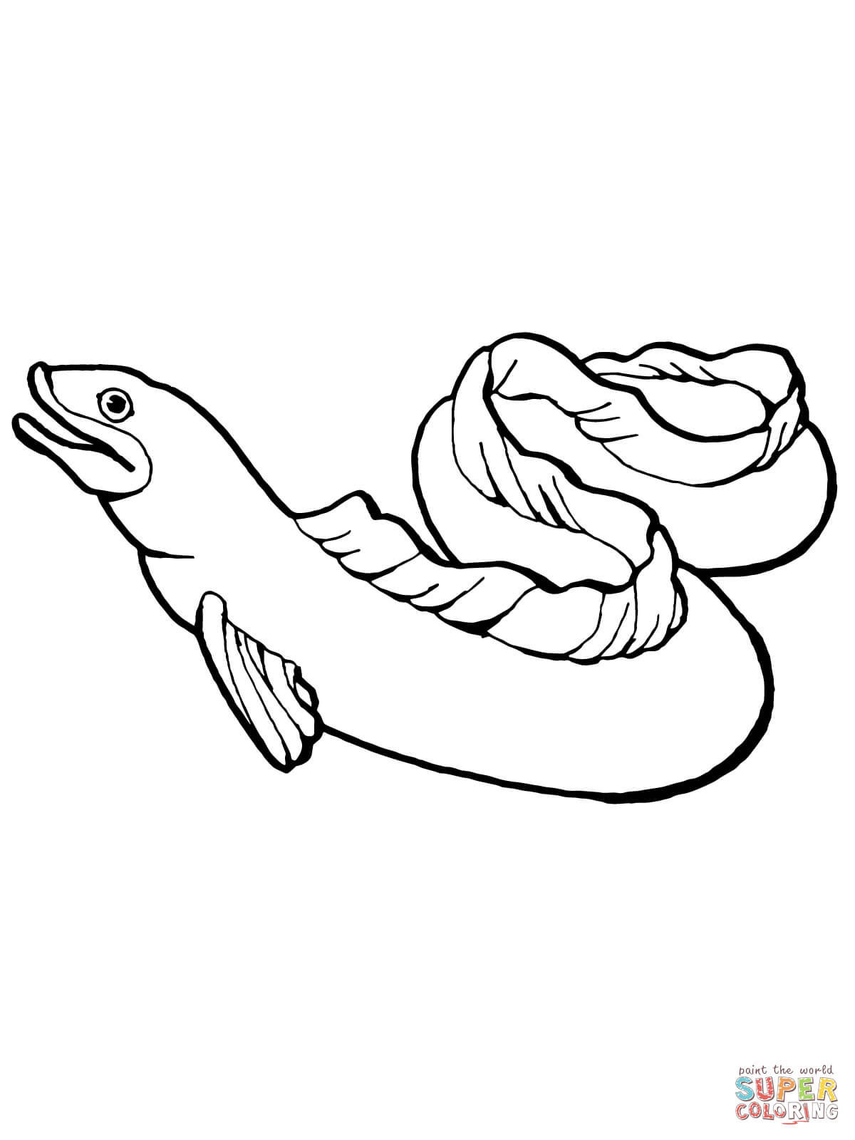Eels coloring #18, Download drawings