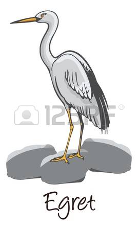 Egret clipart #12, Download drawings
