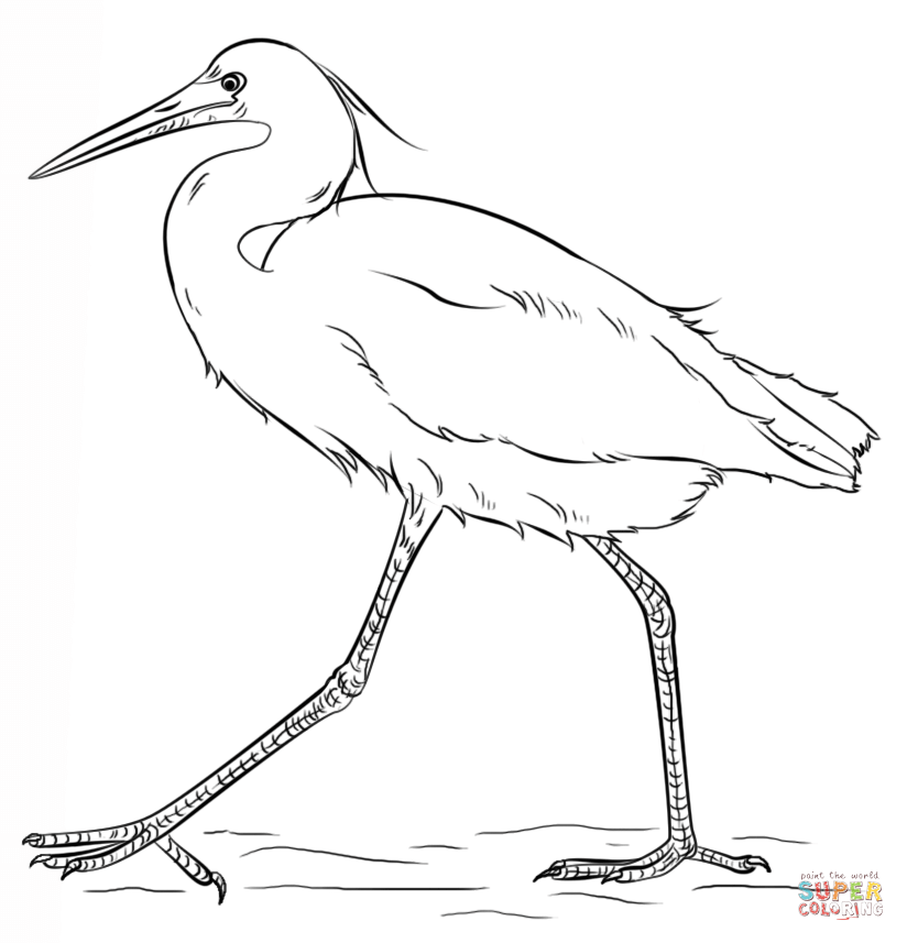 Great Egrets coloring #11, Download drawings
