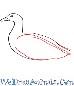 Egyptian Goose coloring #17, Download drawings