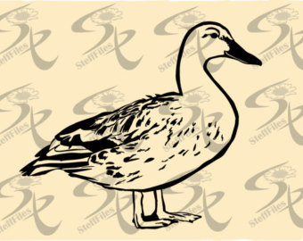 Egyptian Goose svg #13, Download drawings