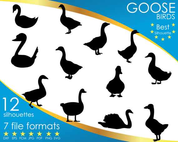 Egyptian Goose svg #14, Download drawings