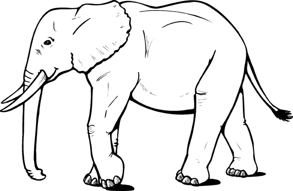 Elephant coloring #17, Download drawings
