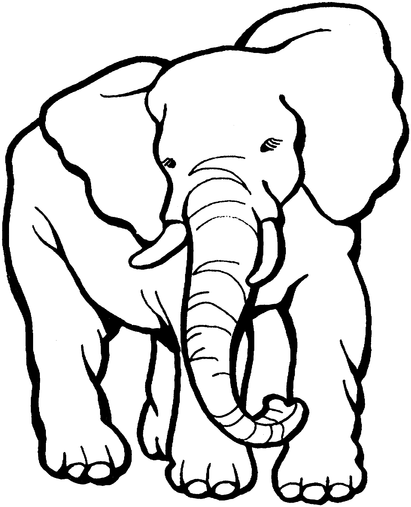 Elephant coloring #11, Download drawings