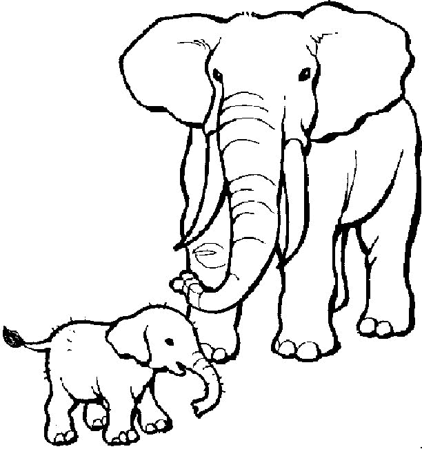 Elephant coloring #4, Download drawings