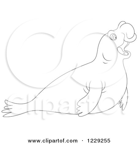Elephant Seal clipart #4, Download drawings