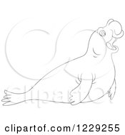 Elephant Seal clipart #9, Download drawings
