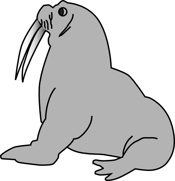 Elephant Seal clipart #5, Download drawings