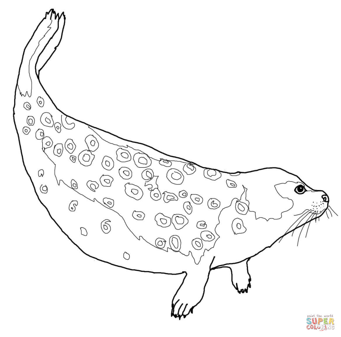 Harp Seal coloring #13, Download drawings