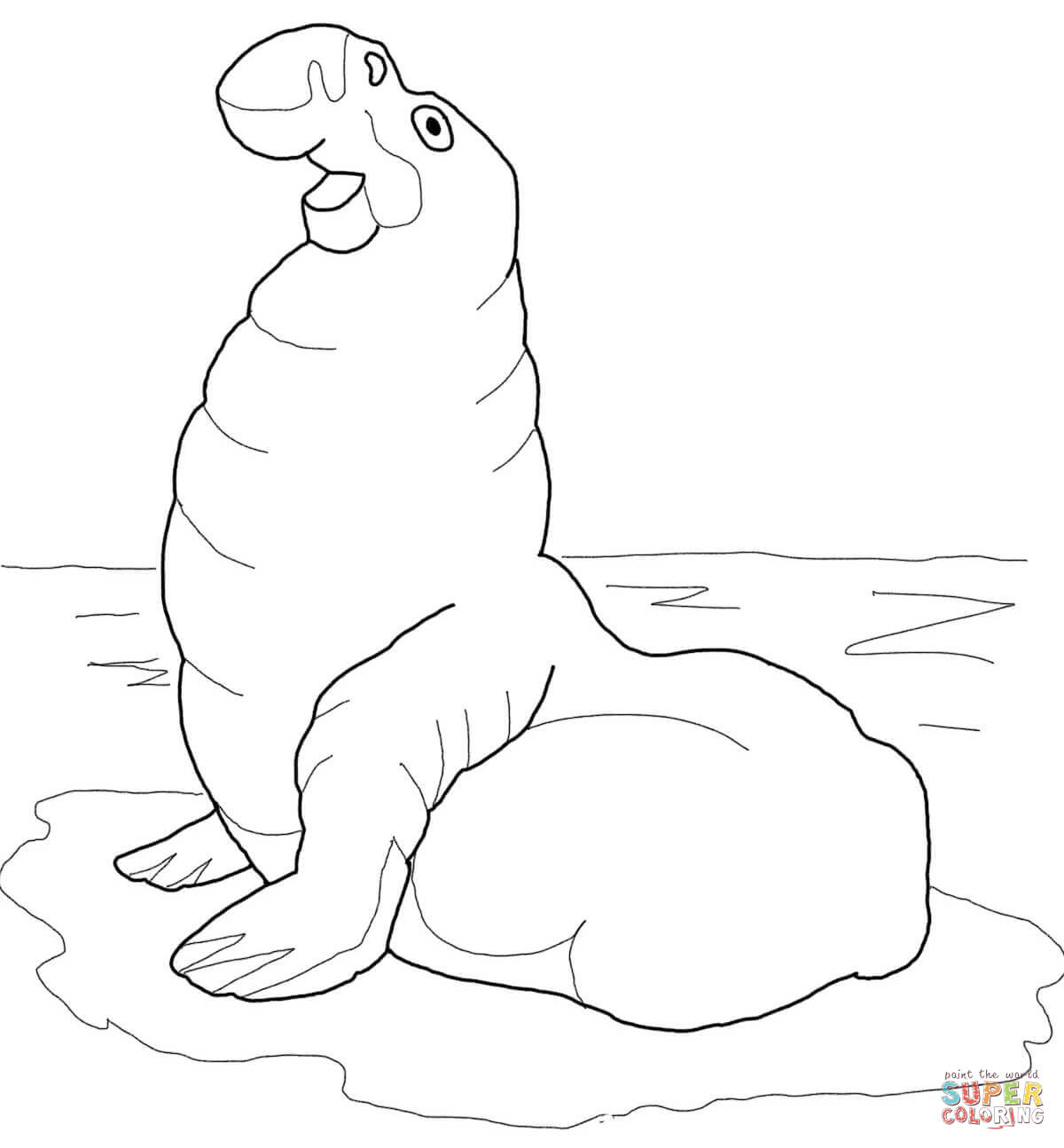Elephant Seal coloring #14, Download drawings