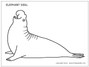 Elephant Seal coloring #20, Download drawings
