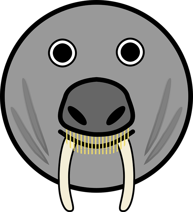 Elephant Seal svg #8, Download drawings