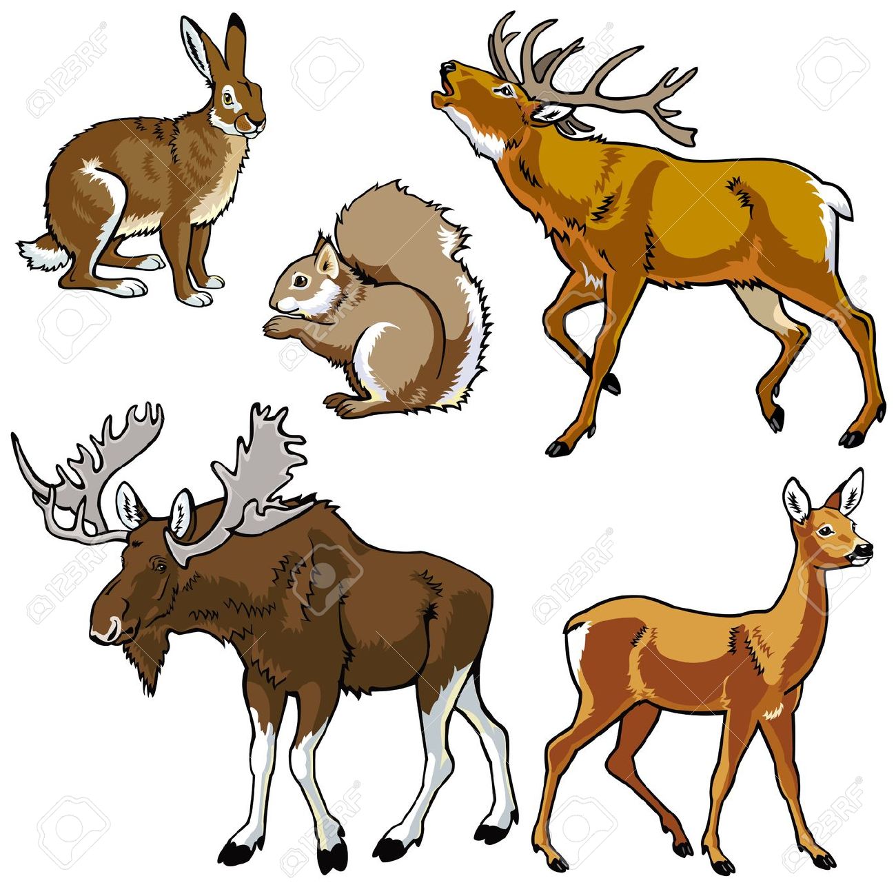Elk clipart #3, Download drawings